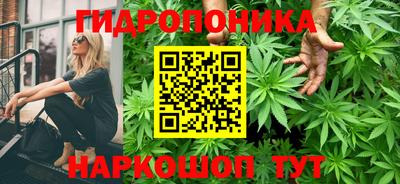 хмурый Кимры